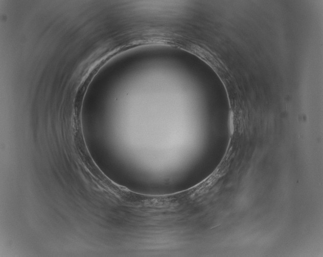 X0000070230338200605301501