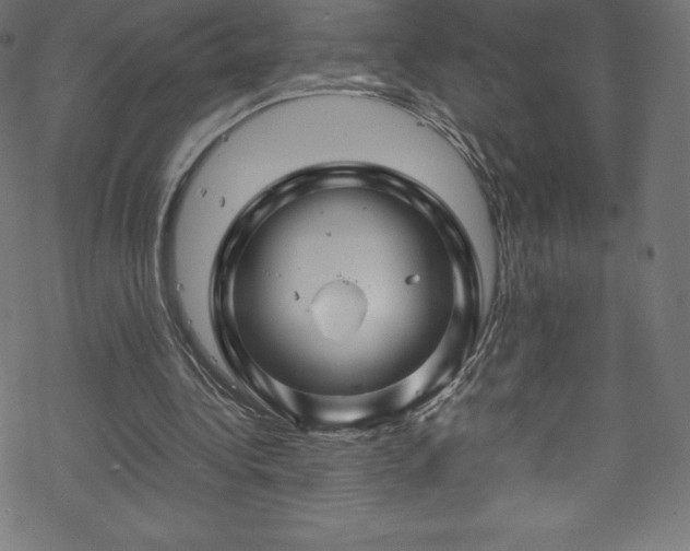 X0000070230340200605301501