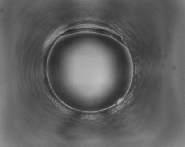 X0000070230341200605301501