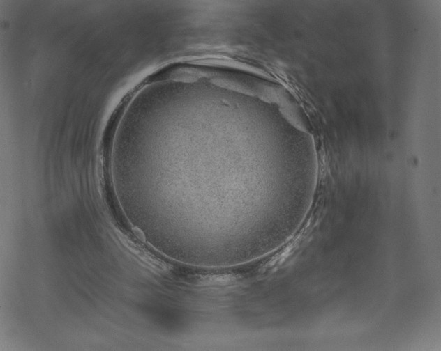 X0000070230342200605301501