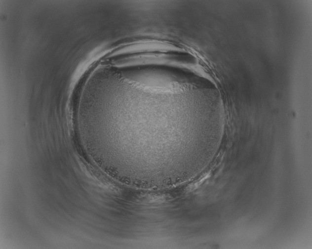 X0000070230343200605301501