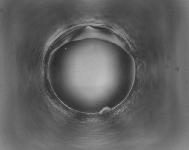 X0000070230344200605301501