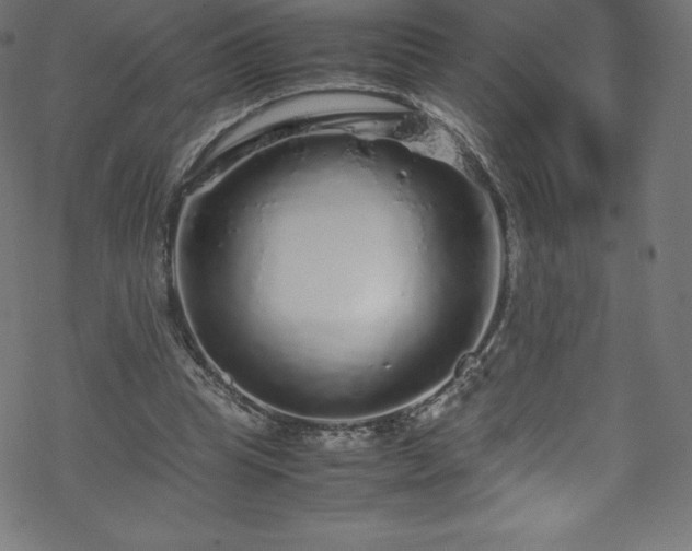 X0000070230345200605301501