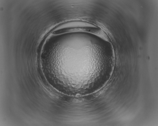 X0000070230346200605301501