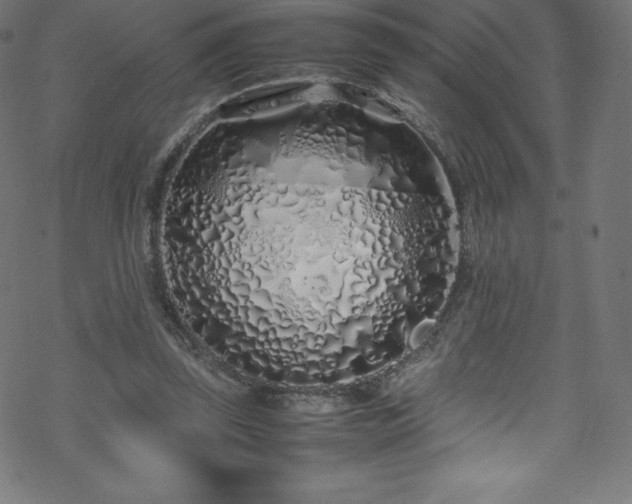 X0000070230347200605301501