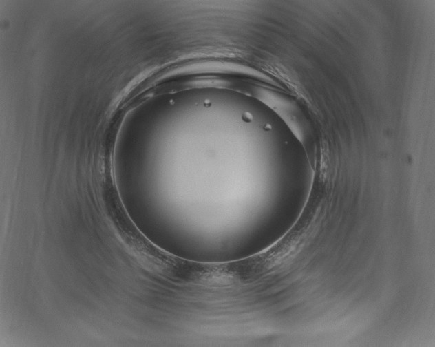 X0000070230348200605301501