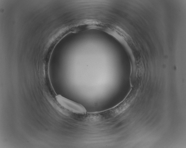 X0000070230350200605301501