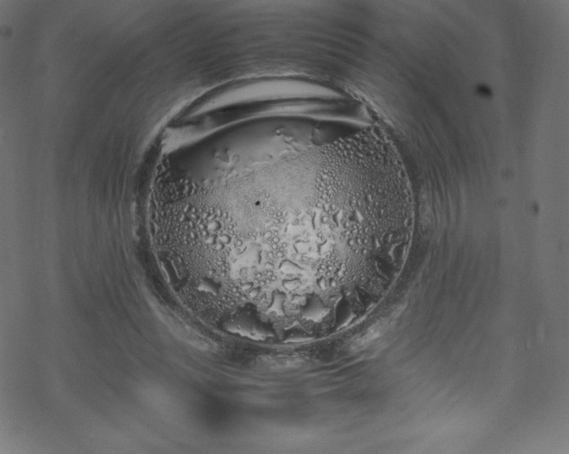 X0000070230351200605301501