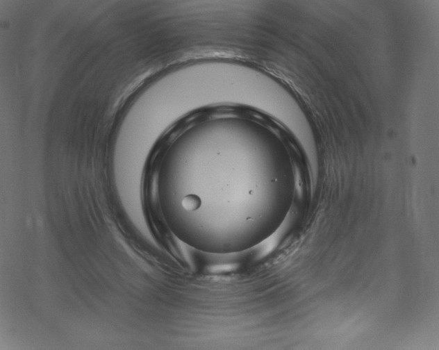 X0000070230352200605301501