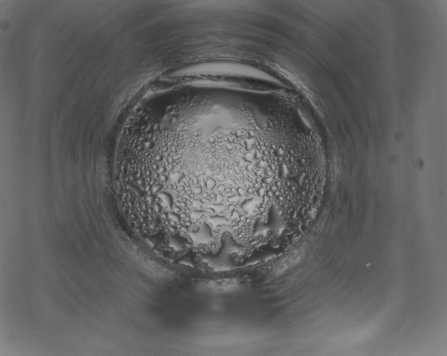 X0000070230353200605301501