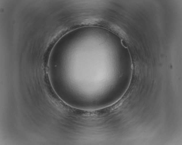 X0000070230354200605301501