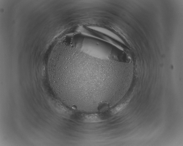 X0000070230355200605301501