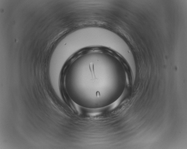 X0000070230356200605301501