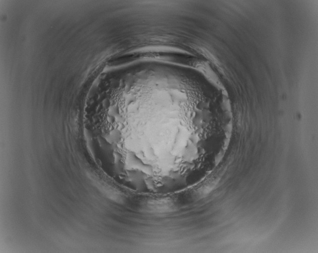 X0000070230357200605301501