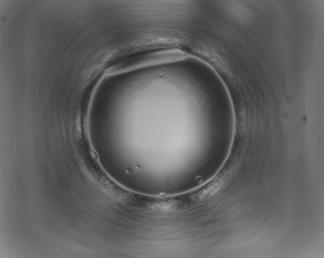 X0000070230358200605301501