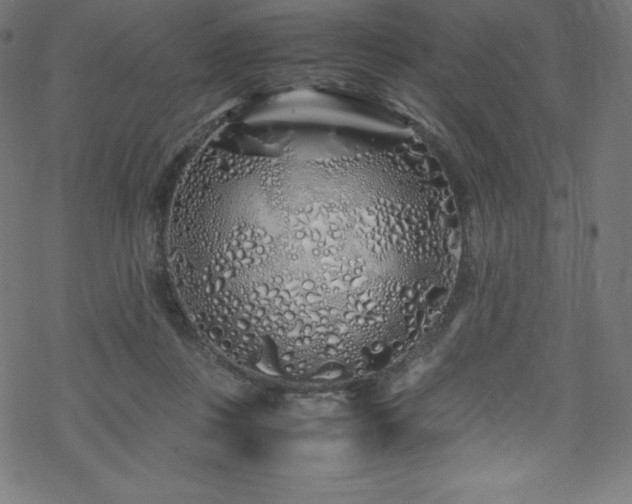 X0000070230359200605301501