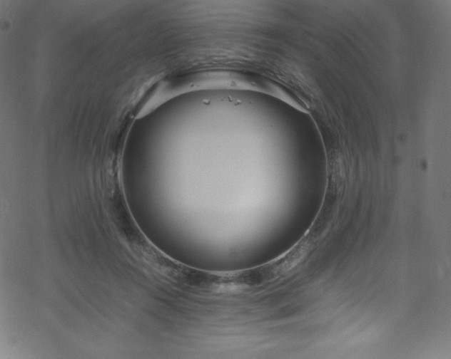 X0000070230360200605301501