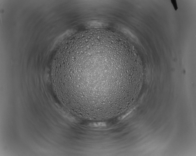 X0000070230361200605301501