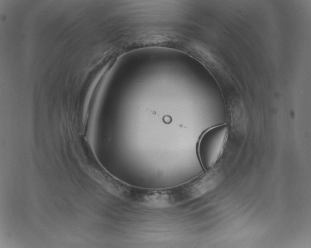 X0000070230362200605301501