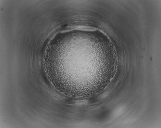 X0000070230363200605301501