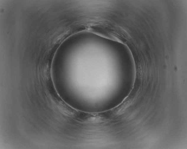 X0000070230364200605301501