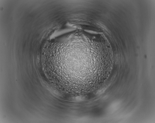 X0000070230365200605301501