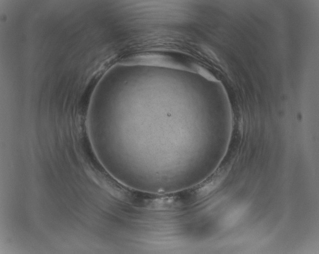 X0000070230366200605301501