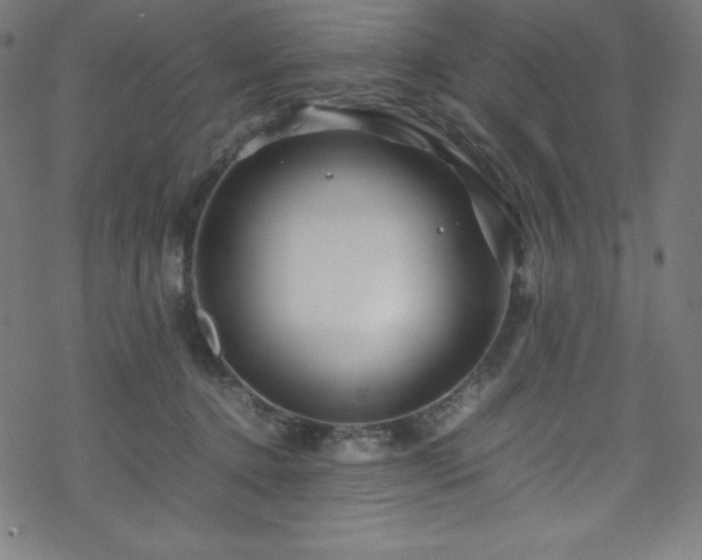 X0000070230368200605301501