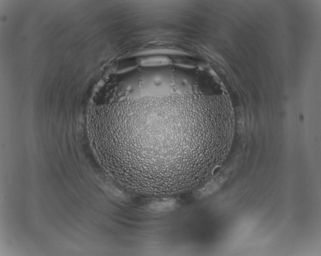 X0000070230369200605301501