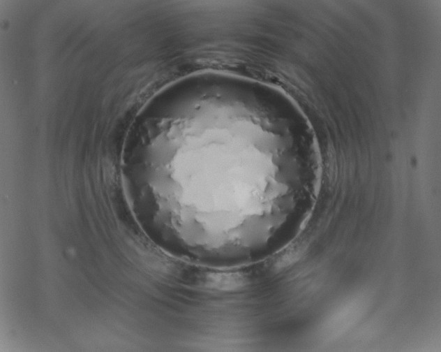 X0000070230371200605301501