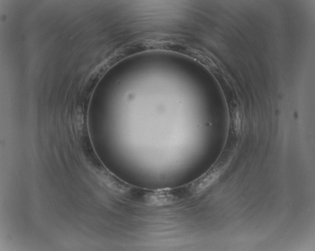 X0000070230372200605301501