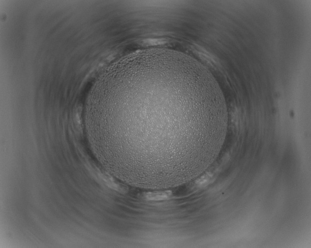 X0000070230373200605301501