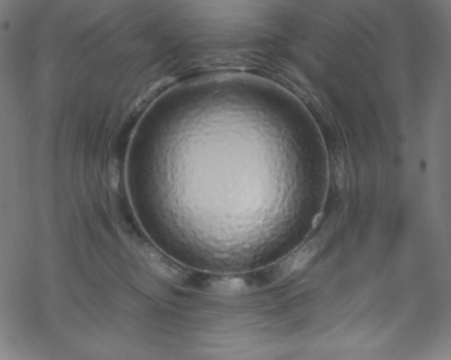 X0000070230374200605301501