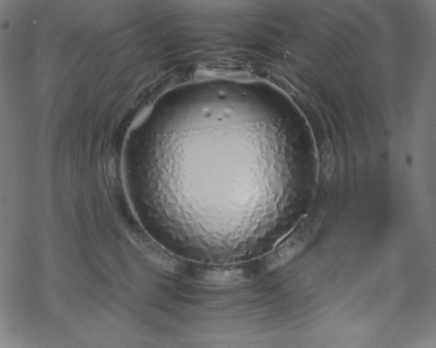 X0000070230375200605301501