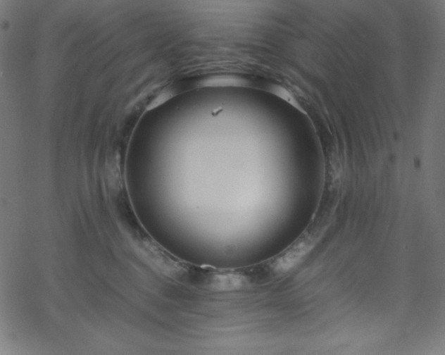 X0000070230376200605301501