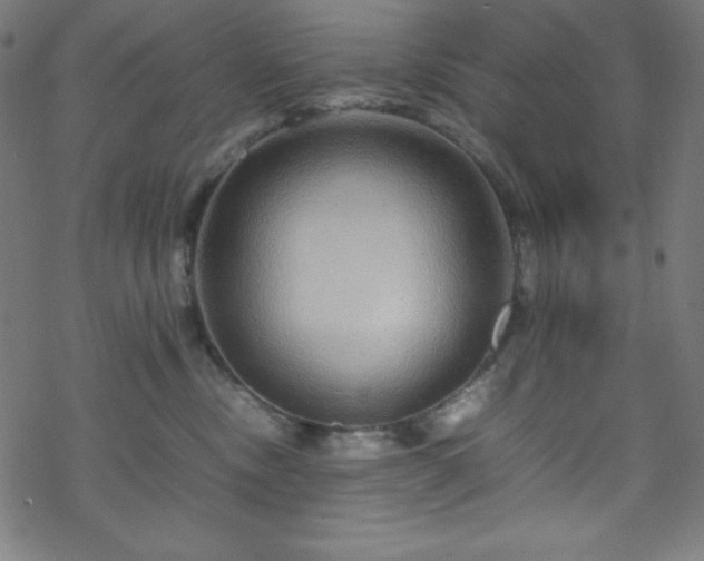 X0000070230378200605301501