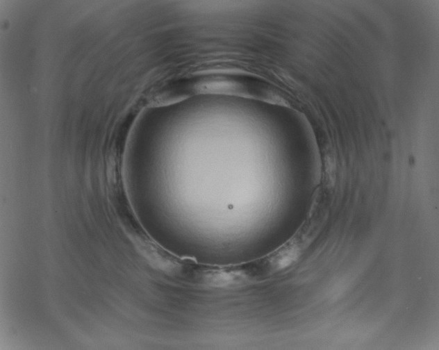 X0000070230379200605301501