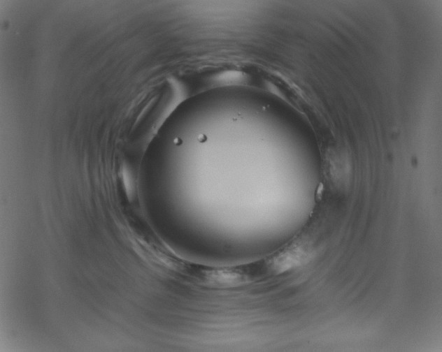 X0000070230380200605301501