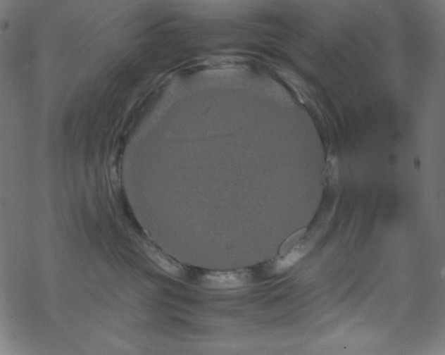 X0000070230381200605301502