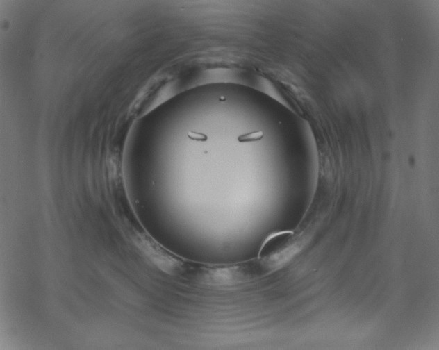 X0000070230382200605301502