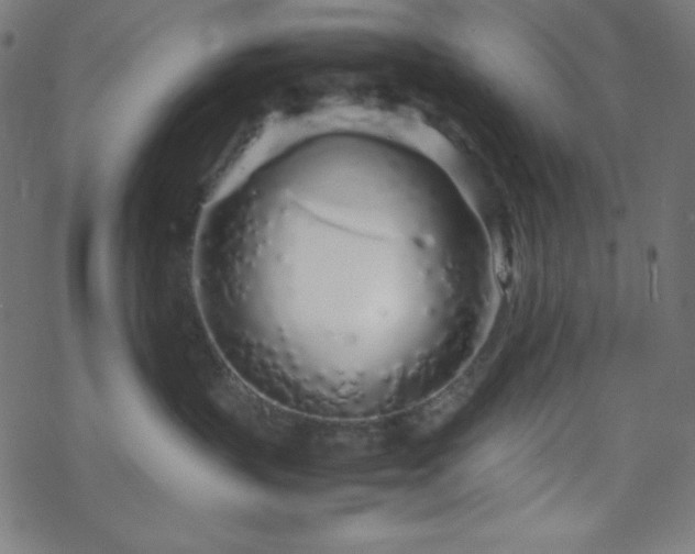 X0000070230383200605301502