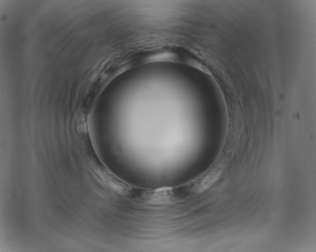 X0000070230384200605301502