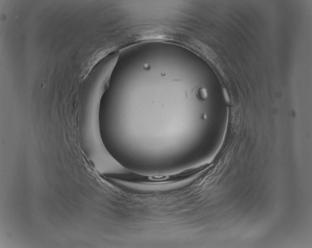 X0000070230385200605301501