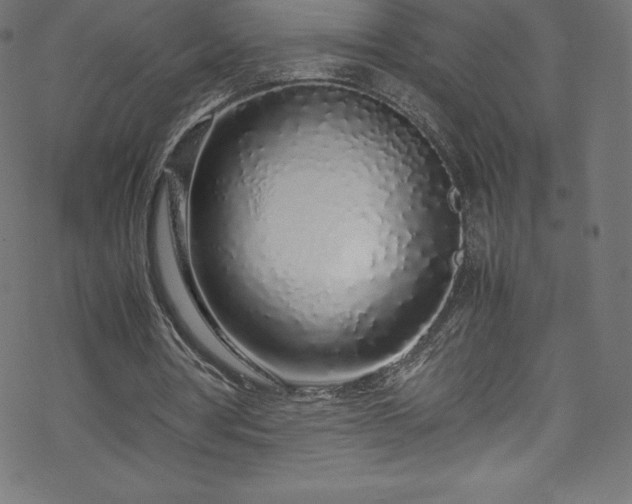 X0000070230386200605301501