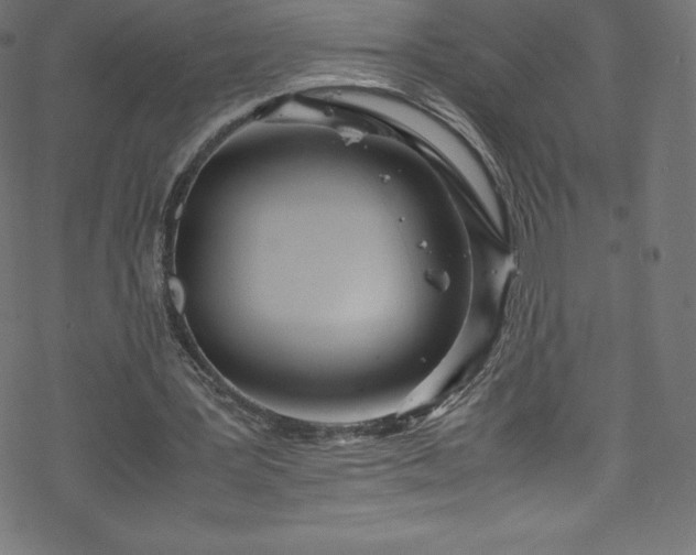 X0000070230387200605301501