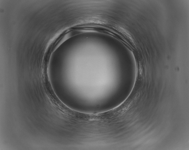 X0000070230388200605301501