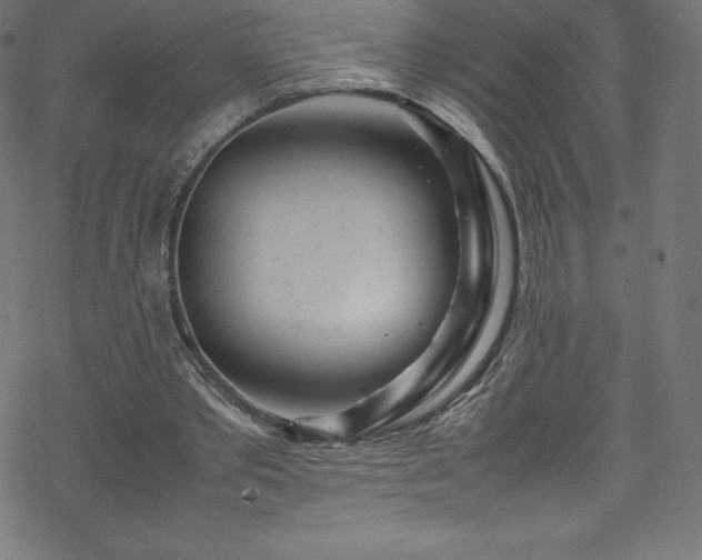 X0000070230389200605301501