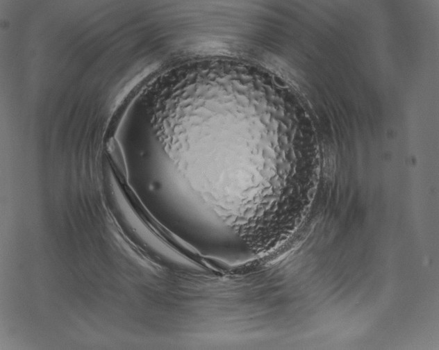 X0000070230390200605301501