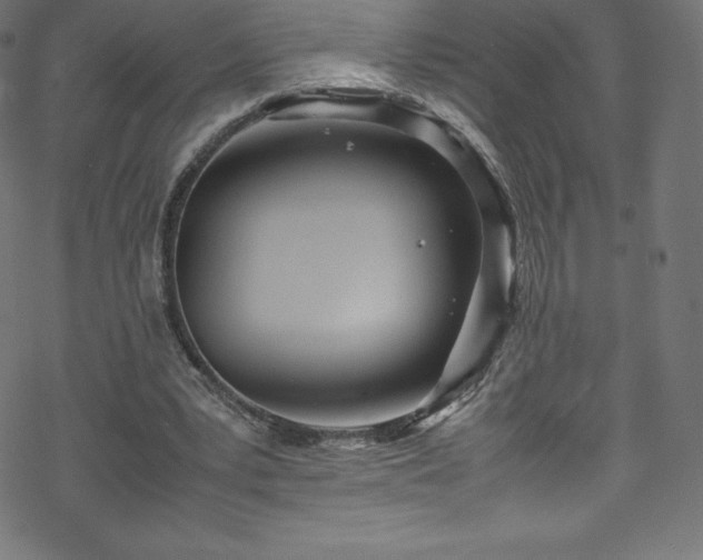 X0000070230391200605301501