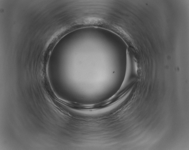 X0000070230392200605301501